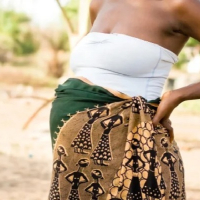 Malaria_HIV pregnant women